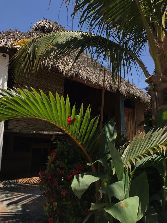 Condominio Agave Del Mar Coyuca de Benitez Luaran gambar