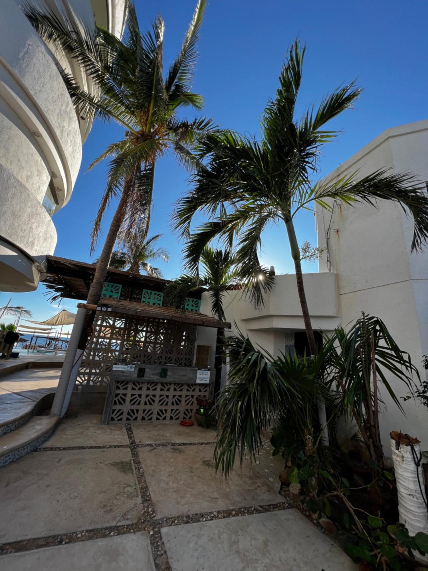 Condominio Agave Del Mar Coyuca de Benitez Luaran gambar